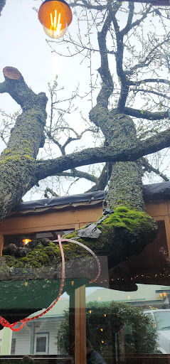 Photo of Tree House Cafe - Salt Spring Island, 106 Purvis Ln, Salt Spring Island, BC V8K 2S5